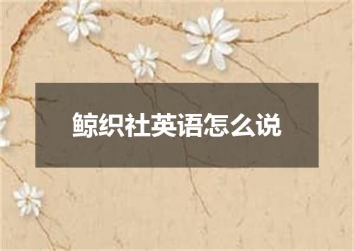 鲸织社英语怎么说