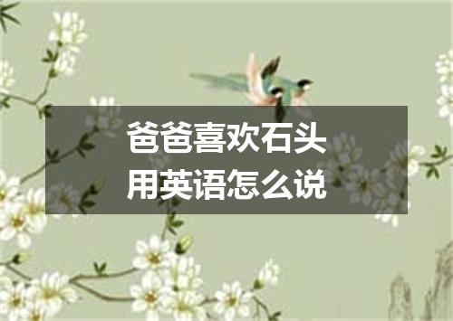 爸爸喜欢石头用英语怎么说