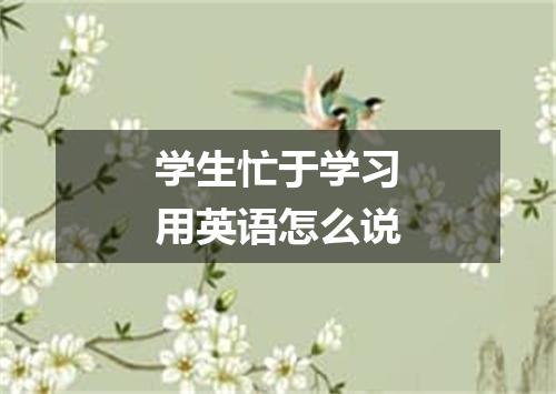 学生忙于学习用英语怎么说