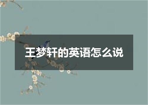 王梦轩的英语怎么说