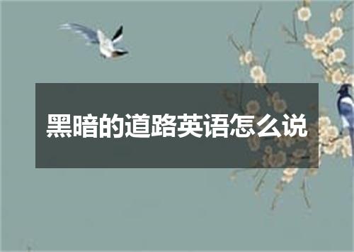 黑暗的道路英语怎么说