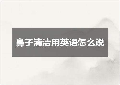 鼻子清洁用英语怎么说