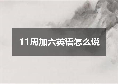 11周加六英语怎么说