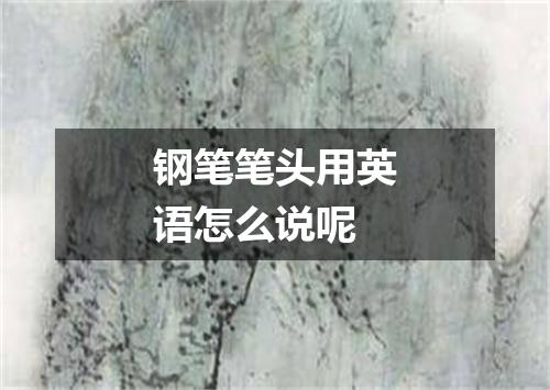钢笔笔头用英语怎么说呢