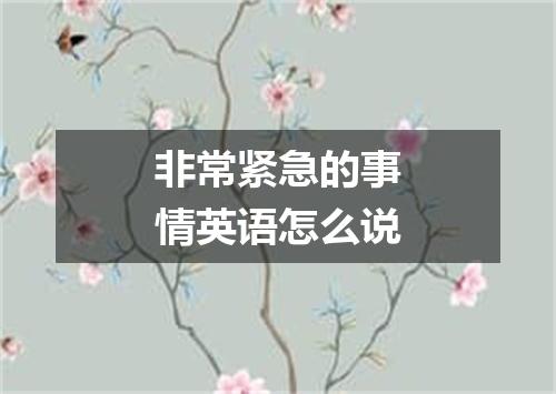 非常紧急的事情英语怎么说
