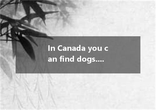 In Canada you can find dogs. cats. horses.etc．in almost every family．These are t