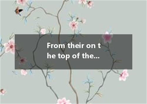 From their on the top of the TV tower, visitors can have a better of the city．A．