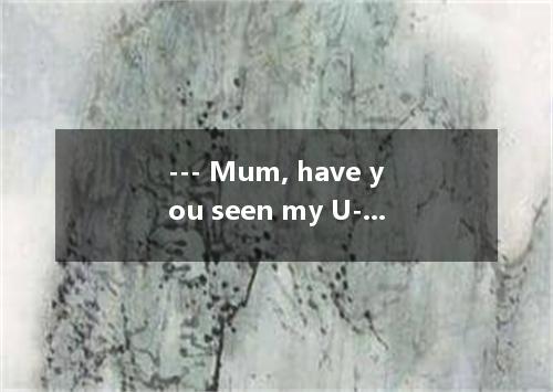 --- Mum, have you seen my U-Disk? --- you bought last Sunday? I’m afraid I haven