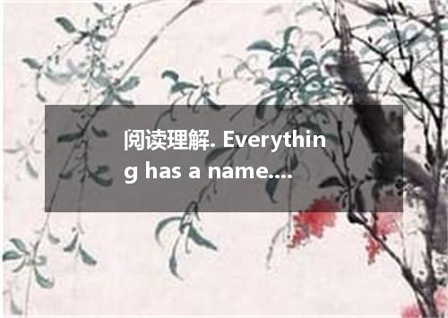 阅读理解. Everything has a name. All people, places and things have names. For examp
