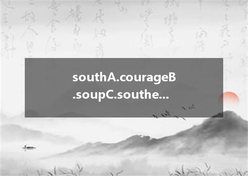 southA.courageB.soupC.southernD.trousers