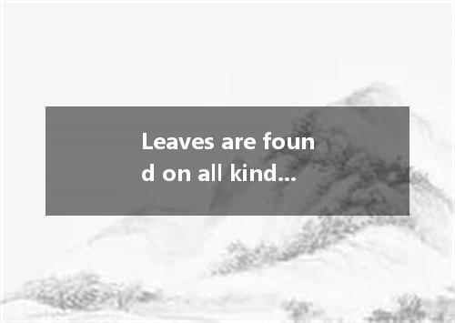 Leaves are found on all kinds of trees, but they differ greatly size and shape.