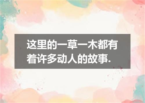 这里的一草一木都有着许多动人的故事.