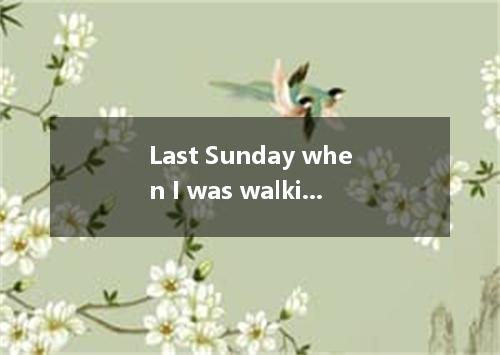 Last Sunday when I was walking along the street, I caught of a tall man with a p