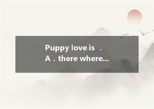 Puppy love is ．A．there where Chinese parents have long been arguingB．where Chine