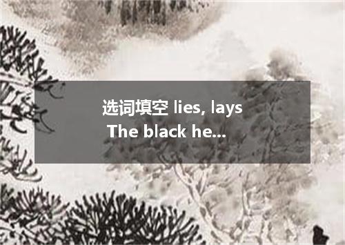 选词填空 lies, lays The black hen an egg a day．