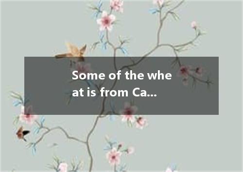 Some of the wheat is from Canada. What about ? [ ] A．another B．the other C．other