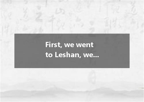 First, we went to Leshan, we climbed all the way up the mountain to see the Budd