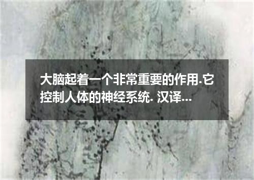 大脑起着一个非常重要的作用.它控制人体的神经系统. 汉译英 大脑起着一个非常重要的作用.它控制人体的神经系统.