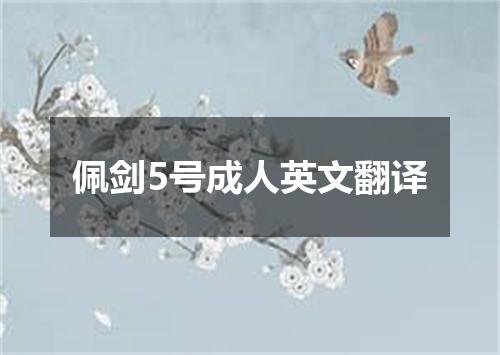 佩剑5号成人英文翻译