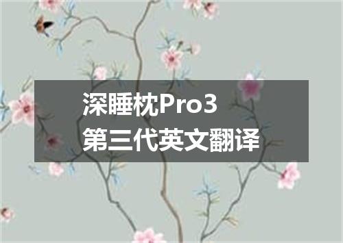 深睡枕Pro3第三代英文翻译