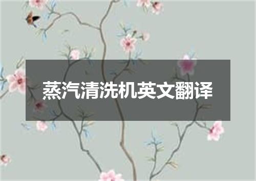 蒸汽清洗机英文翻译