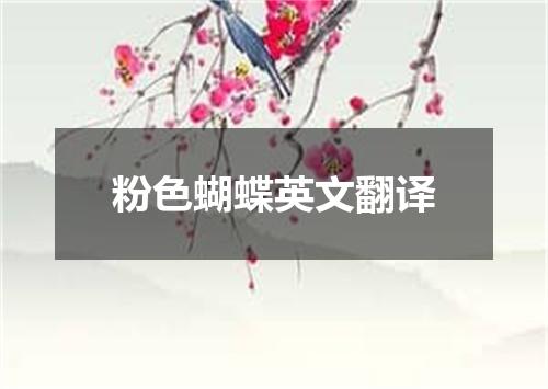 粉色蝴蝶英文翻译