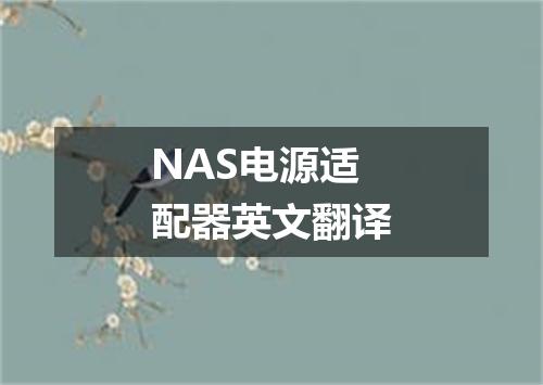 NAS电源适配器英文翻译