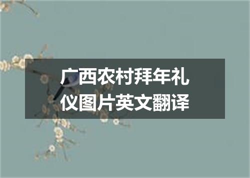 广西农村拜年礼仪图片英文翻译