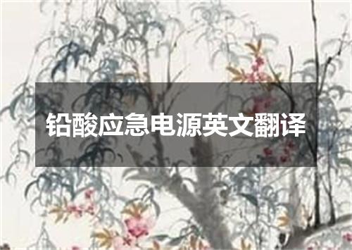 铅酸应急电源英文翻译