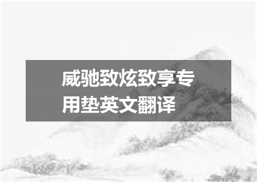 威驰致炫致享专用垫英文翻译