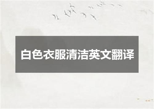 白色衣服清洁英文翻译