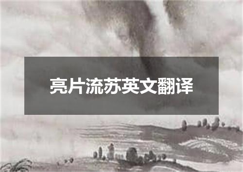 亮片流苏英文翻译