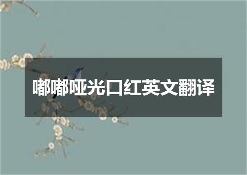 嘟嘟哑光口红英文翻译