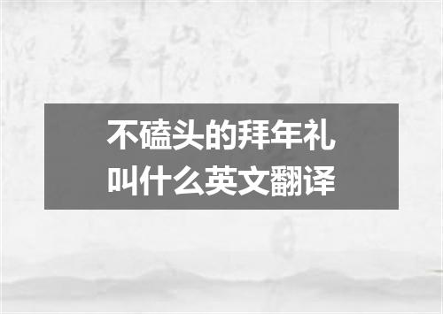 不磕头的拜年礼叫什么英文翻译