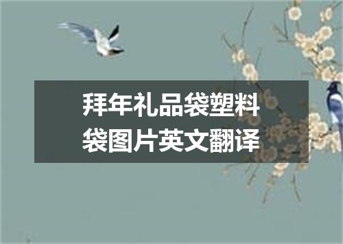 拜年礼品袋塑料袋图片英文翻译