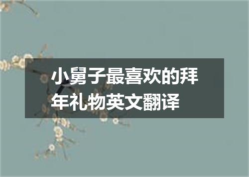 小舅子最喜欢的拜年礼物英文翻译