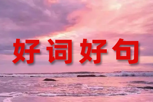 英语好词好句摘抄：三观超正的温柔句子