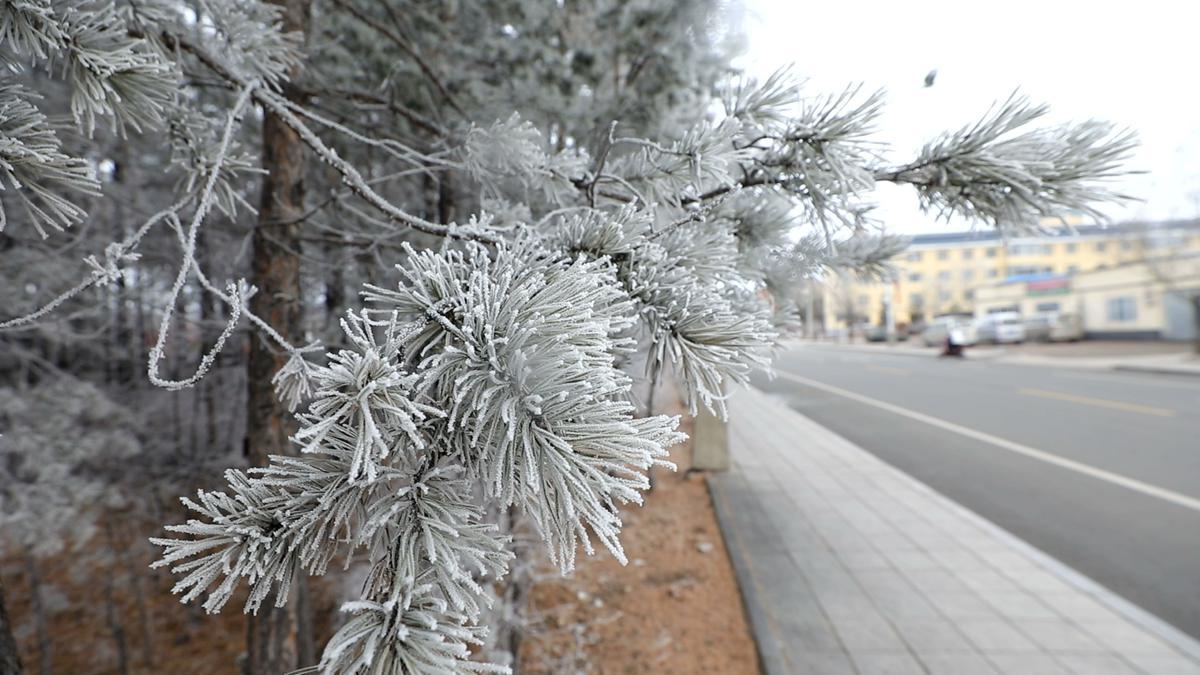 “冷空气”还在说cold air？大错特错！这些冬季的地道表达学起来~