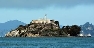 Alcatraz是什么意思