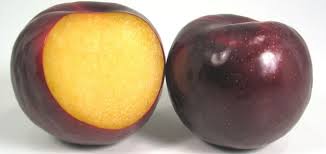 Angeleno是什么意思