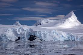 Antarctic是什么意思