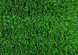 AstroTurf是什么意思