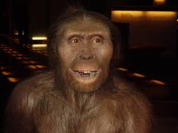Australopithecus是什么意思