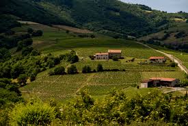 Beaujolais是什么意思