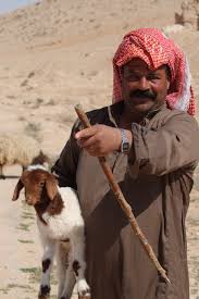 Bedouin是什么意思