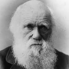 darwin是什么意思