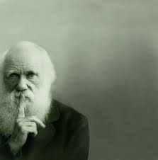 darwinian是什么意思