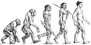 Darwinism是什么意思