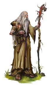 Druid是什么意思
