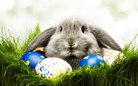 Easter是什么意思